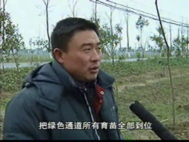 引入市場機(jī)制 提升林業(yè)綠化質(zhì)態(tài)