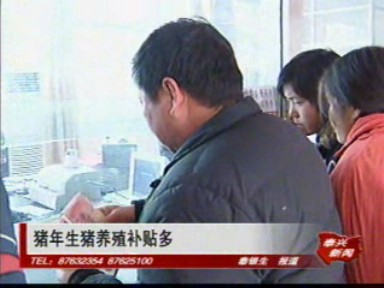 豬年生豬養殖補貼多