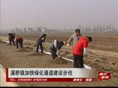 溪橋鎮加快綠化通道建設步伐