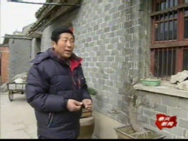 朱連成的盆景情結