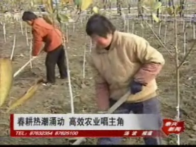 春耕熱潮涌動 高效農業唱主角