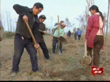 興寧村:村干部帶頭推進綠色通道建設