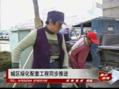 城區綠化配套工程同步推進
