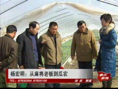 楊宏明:從麻將老板到瓜農(nóng)