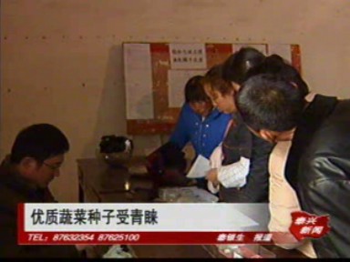 優質蔬菜種子受青睞