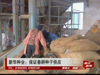 市新華種業:保證春耕種子供應