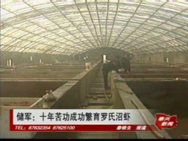 儲軍:十年苦功成功繁育羅氏沼蝦