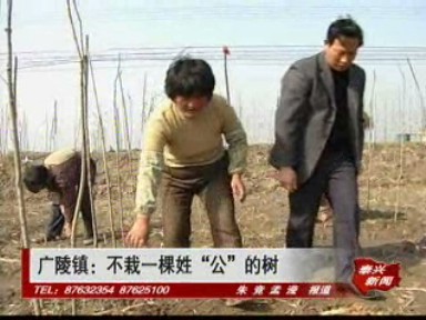 廣陵鎮:不栽一棵姓“公”的樹