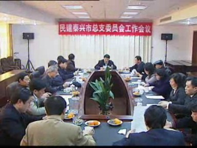 民建泰興市總支工作會議召開