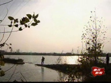 六萬畝魚苗放養結束 高效益魚種增加