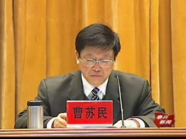 曹蘇民:把好經濟前進方向 走新型工業化道路