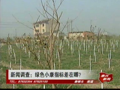 綠色小康指標差在哪?