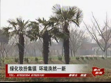 綠化裝扮集鎮 環境渙然一新