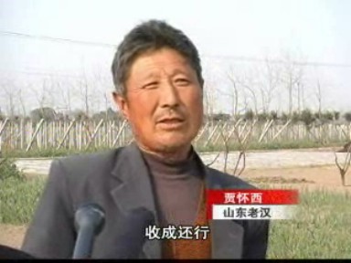 六名山東老人 五年種植滿載而歸