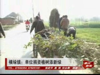 橫垛鎮:單位捐資植樹添新綠