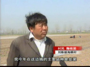 鞠棟梁:回鄉創業 套種蔬菜