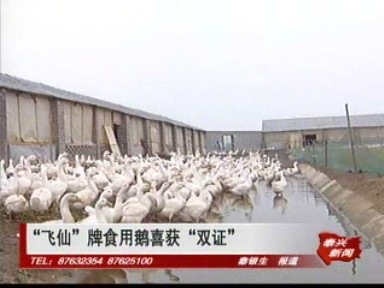 “飛仙”牌食用鵝喜獲“雙證”