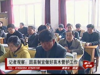 記者觀察:因苗制宜做好苗木管護工作