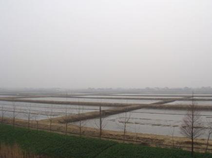 我市高效漁業(yè)又添新亮點(diǎn)