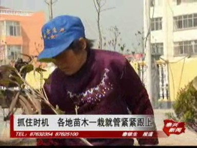 抓住時機 各地苗木一栽就管緊緊跟上