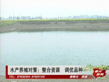 水產養殖對策:整合資源 調優品種