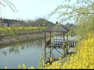 環境整治結碩果 農村經濟新發展