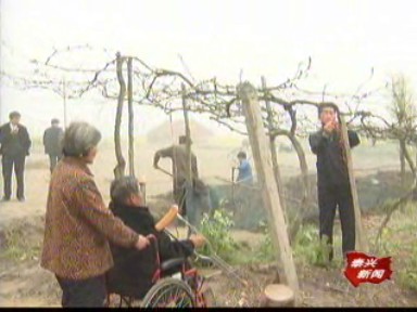 季軍華:子承父業發展高效林業