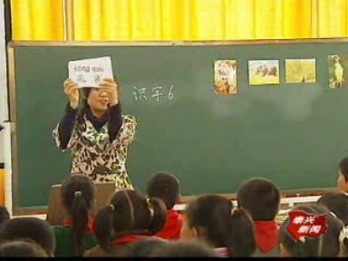 我市開展小學低年級語文課堂教研活動