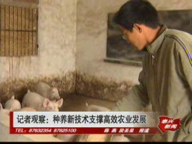 記者觀察:新種養技術支撐高效農業發展