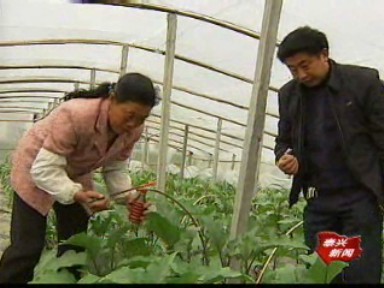 產業鏈上建支部 強基富民求雙贏