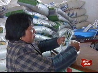 化肥提價高 農民種糧積極性受影響