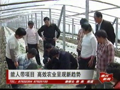 能人帶項目 高效農(nóng)業(yè)呈現(xiàn)新趨勢