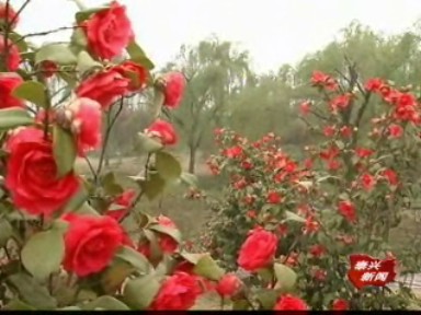 今年城市將新增綠地面積65萬平方米