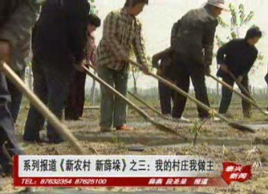 系列報道《新農村 新薛垛》之三:我的村莊我做主