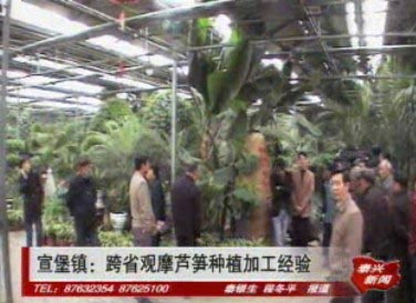 宣堡鎮(zhèn):跨省觀摩蘆筍種植經(jīng)驗(yàn)