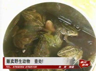 販賣(mài)野生動(dòng)物 查處!