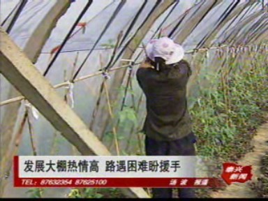 民情直通:發展大棚熱情高 路遇困難盼援手