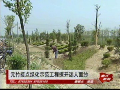 元竹接點綠化示范工程撩開迷人面紗