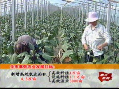 多著并舉 全力推進高效農(nóng)業(yè)規(guī)模化