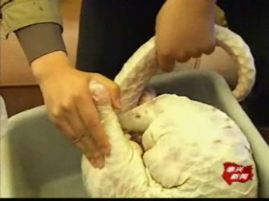 突查 飯店驚現(xiàn)野生保護(hù)動(dòng)物