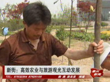 新街:高效農(nóng)業(yè)與旅游觀光互動(dòng)發(fā)展