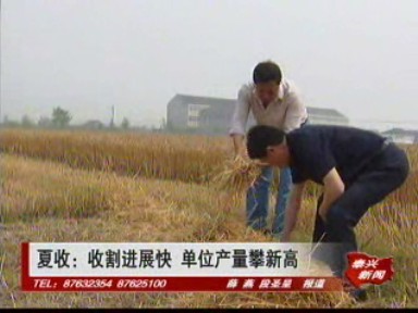 夏收:收割進展快 單位產量攀新高