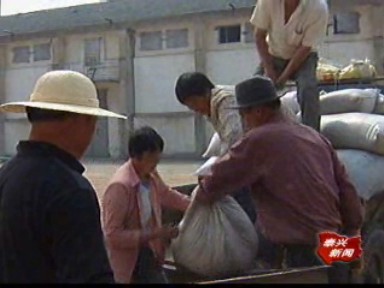 豐產又豐收 沿江群眾喜售余糧
