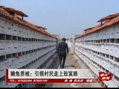 獺兔養(yǎng)殖:引領(lǐng)村民走上致富路