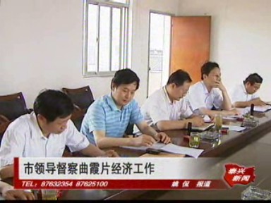 市領導督察曲霞片經(jīng)濟工作