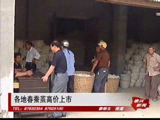 各地春蠶繭高價上市