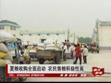 夏糧收購全面啟動(dòng) 農(nóng)民售糧積極性高