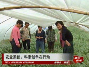 農業系統:科室創爭在行動