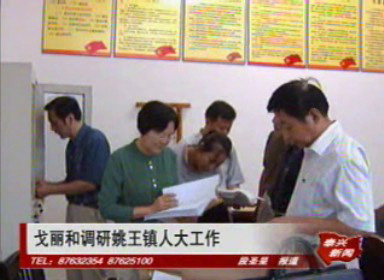 戈麗和調(diào)研姚王鎮(zhèn)人大工作