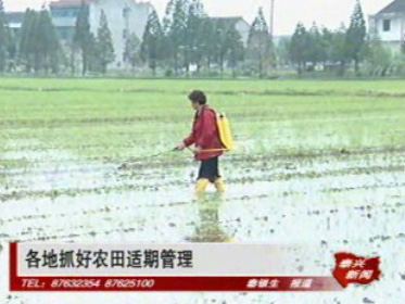 各地抓好農田適期管理